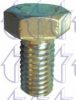 TRICLO 162363 Screw